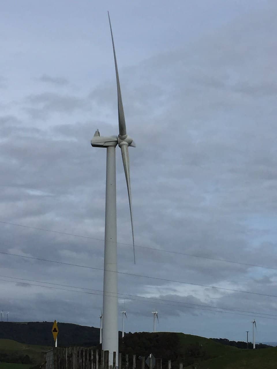 Renewable Energy Showcase
