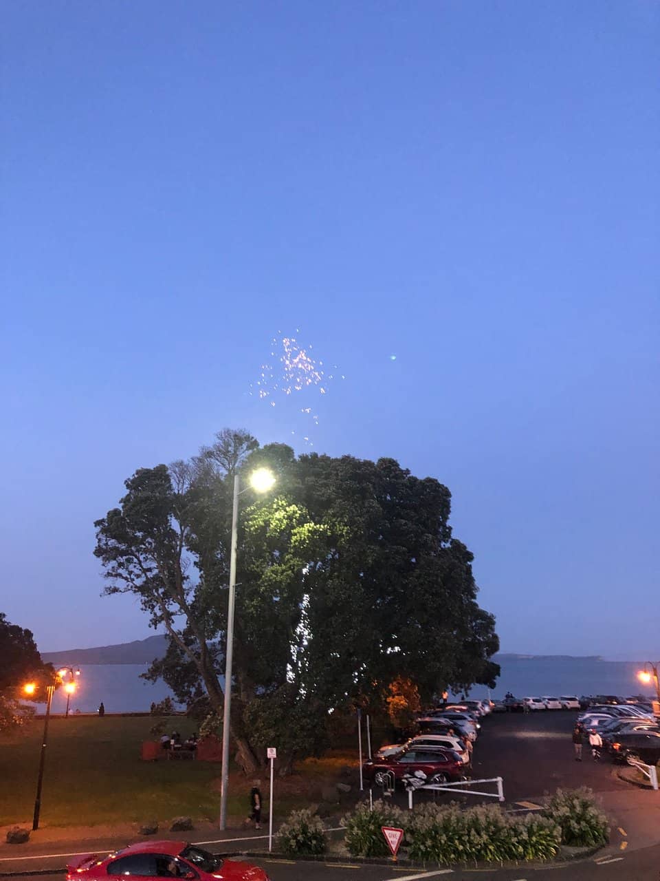 Vertical photo