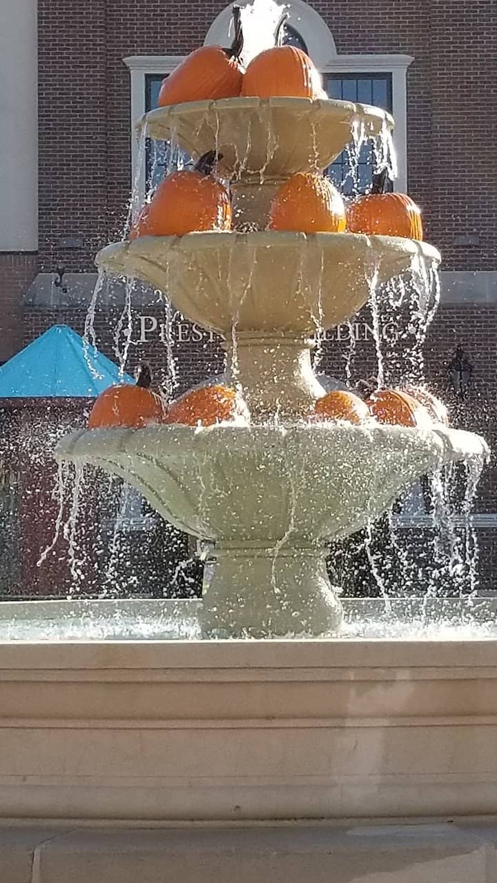 Live Music & Local Vibes