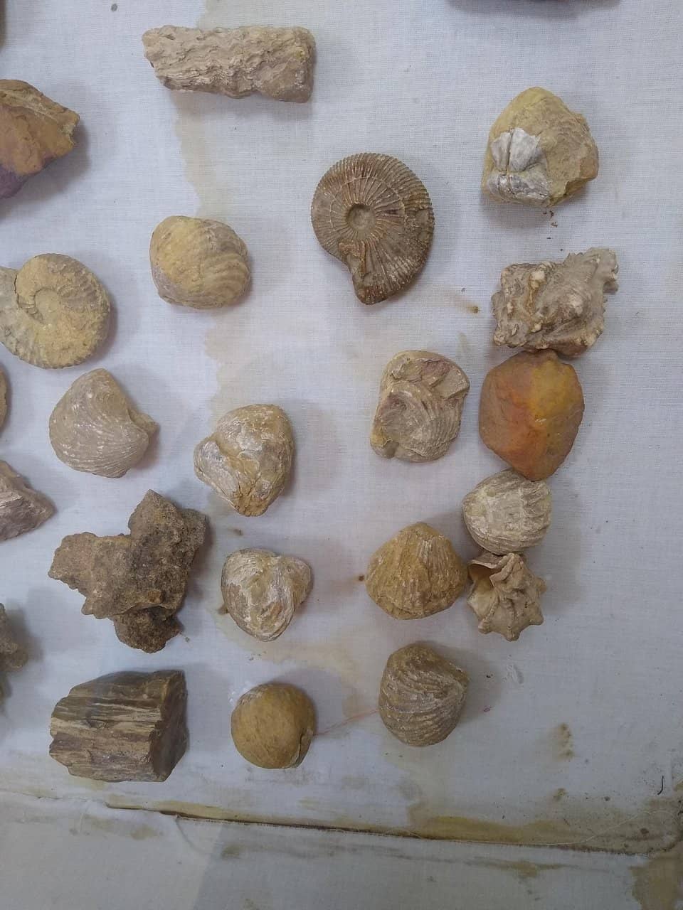 Textile Treasures