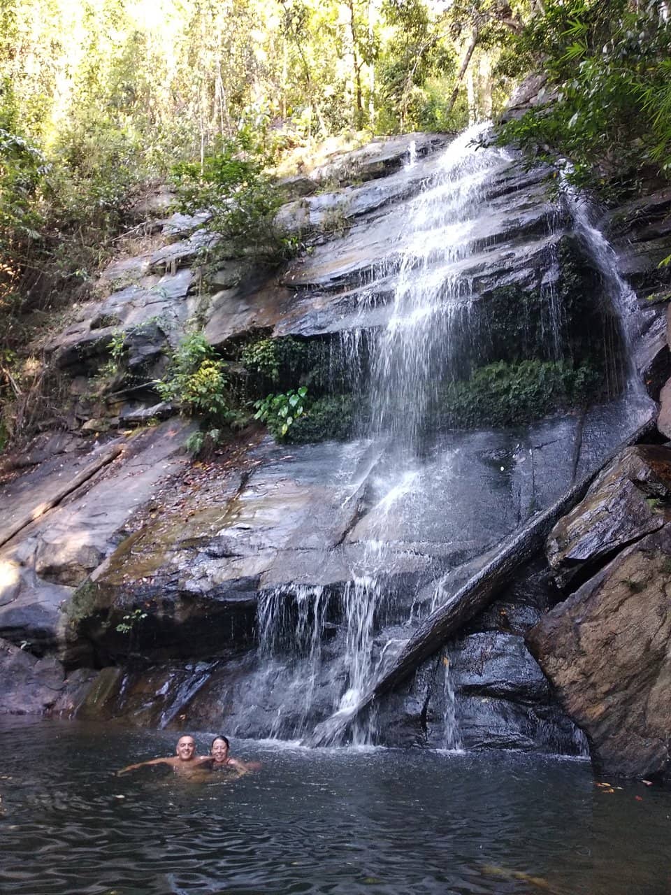Scenic Jungle Walk