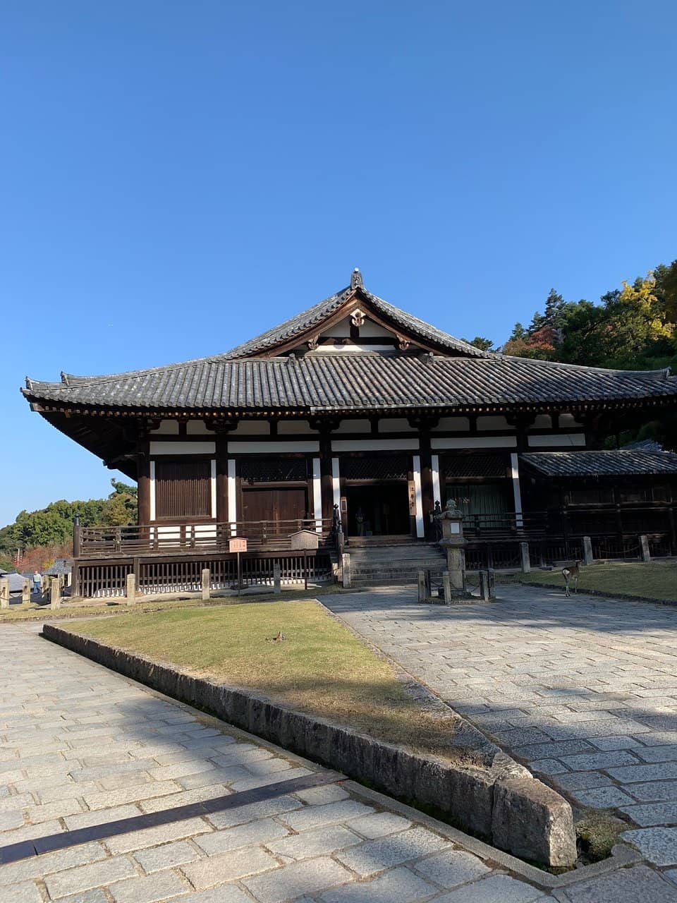 Nara-Period Statues