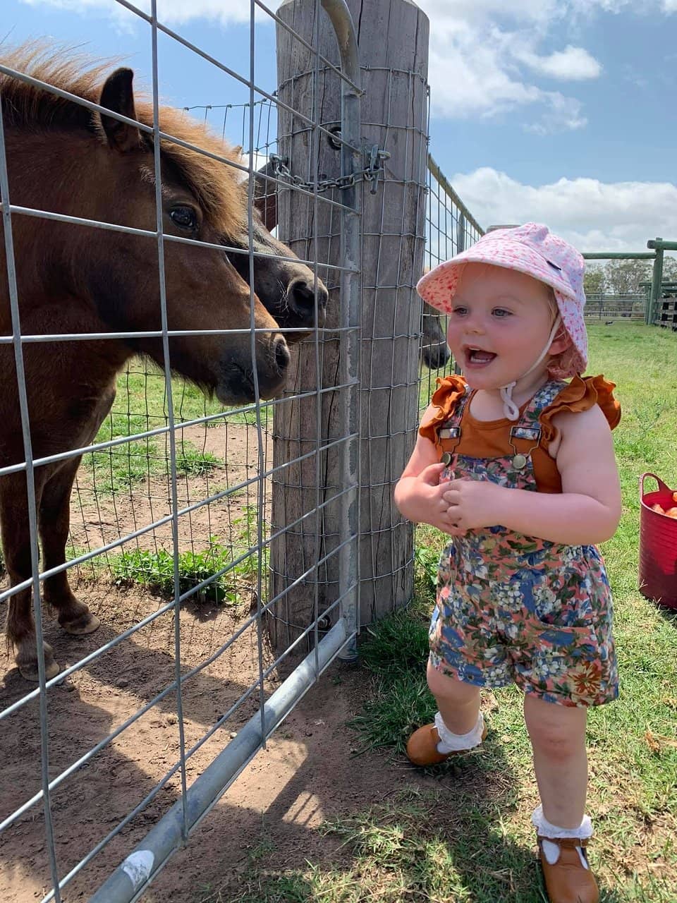 Creek Activities