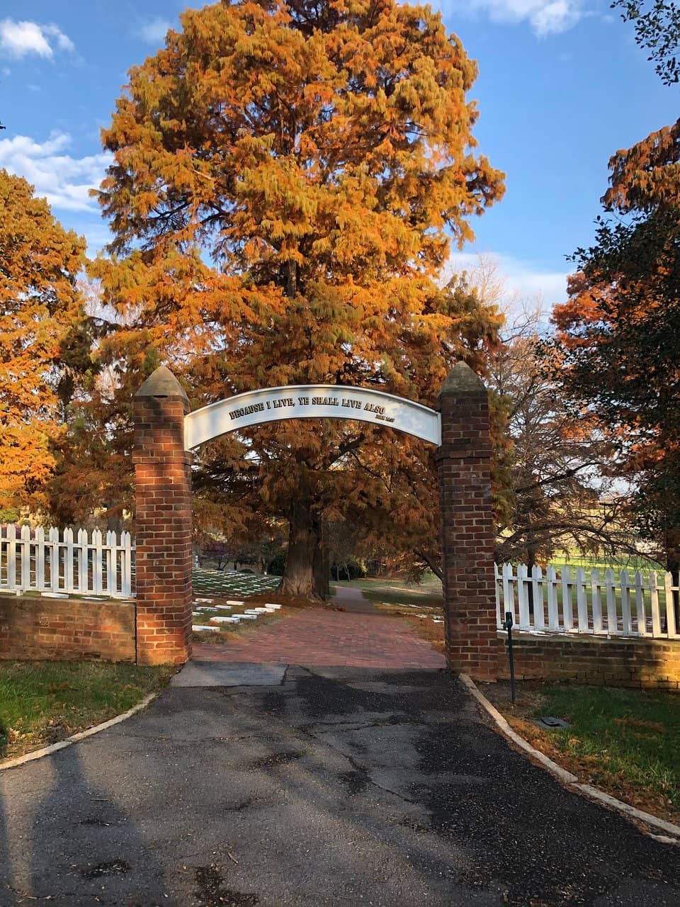 The 'Little Red Man' Folklore