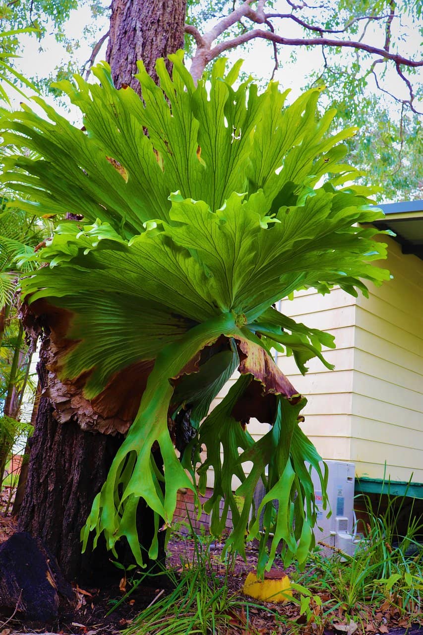 Jalumbo Keeping Place