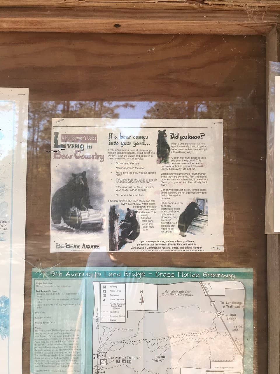 Shaded & Serene Trails