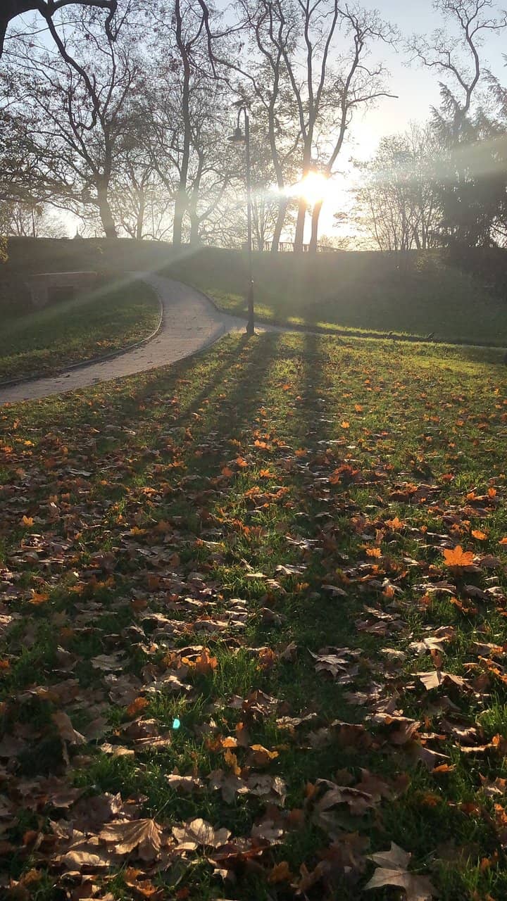 Cobbled Streets & Gnomes