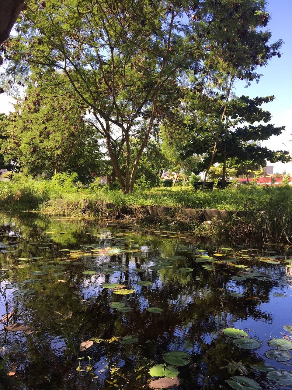 Family and Pet-Friendly Zones