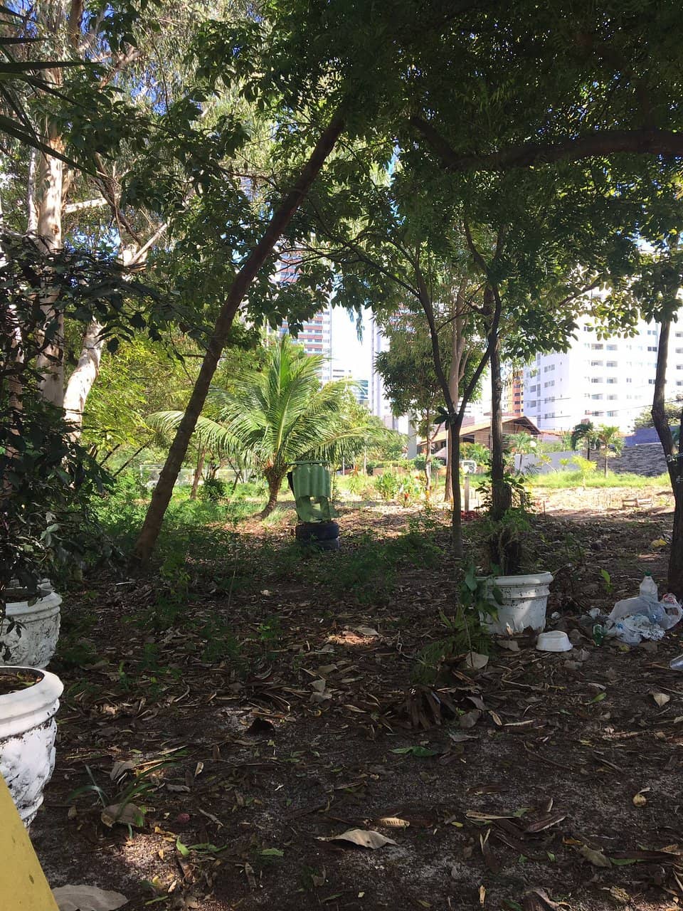 Children's Play Areas