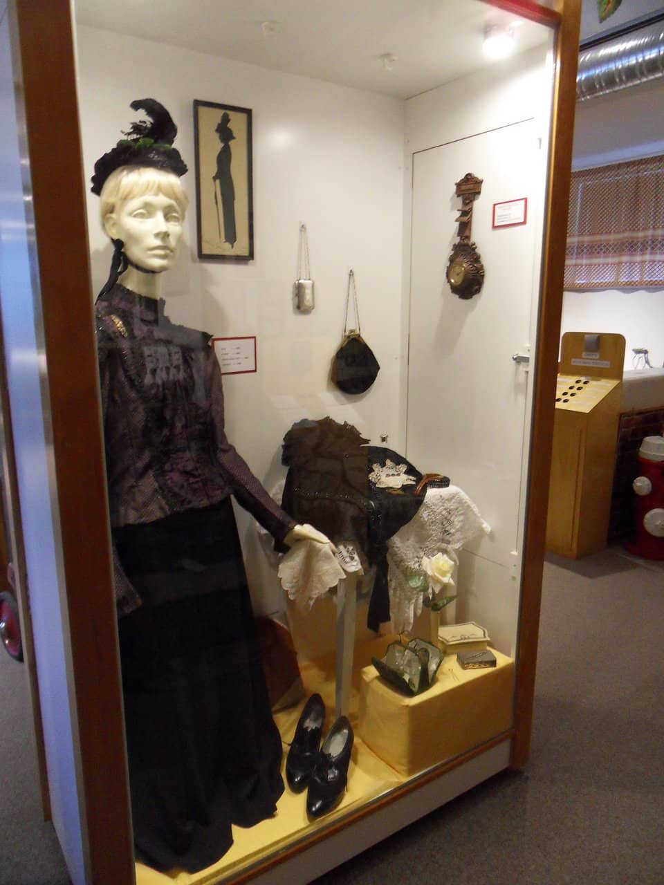 Paleontology & Fossils