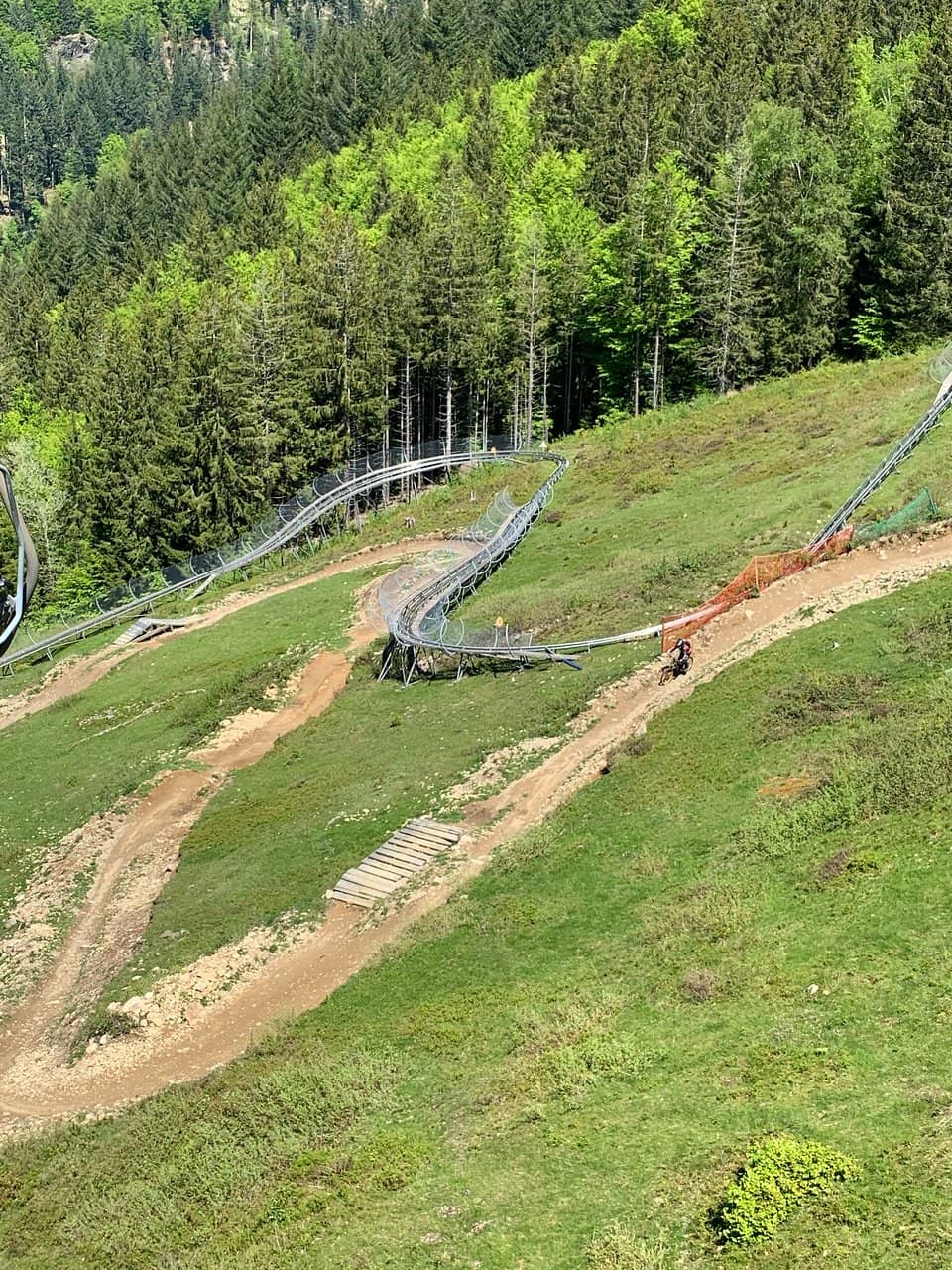 Vertical photo