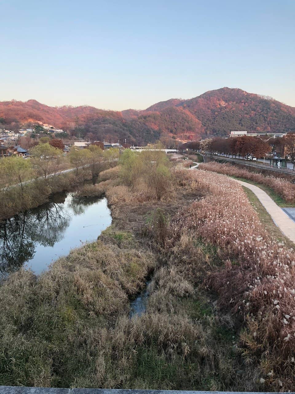 Stepping Stone Bridge