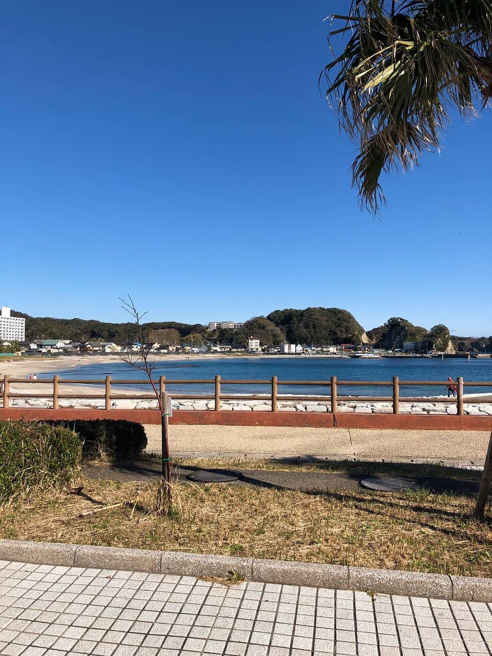 Public Toilet Facilities