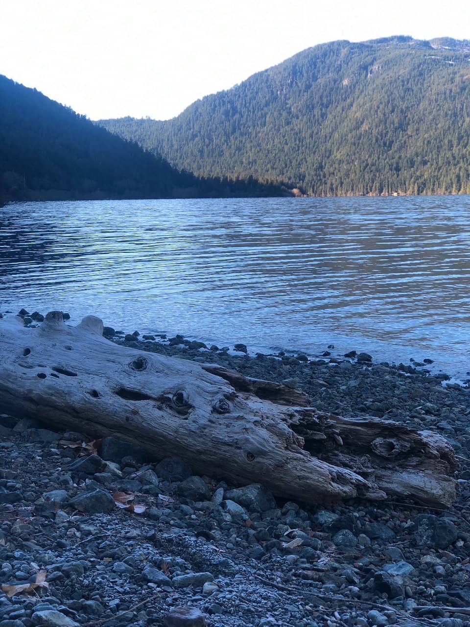 Cameron Lake Trestle Hike