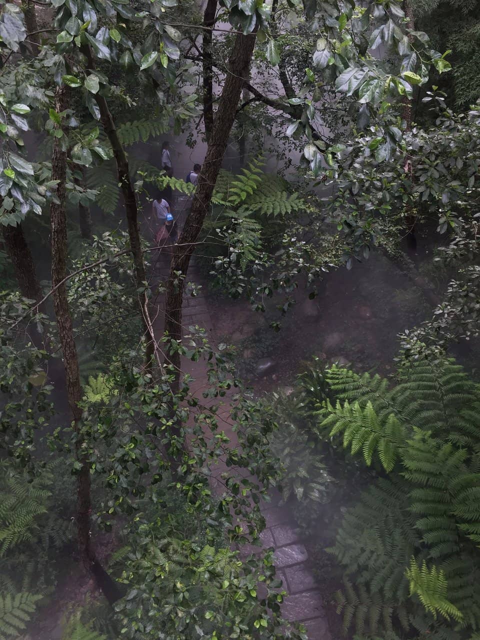 Third hero image