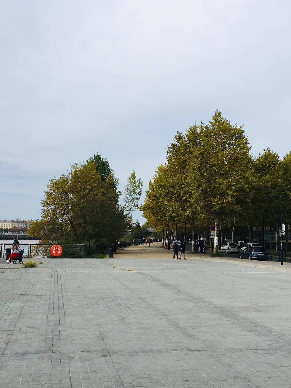 Shaded Picnic Spots