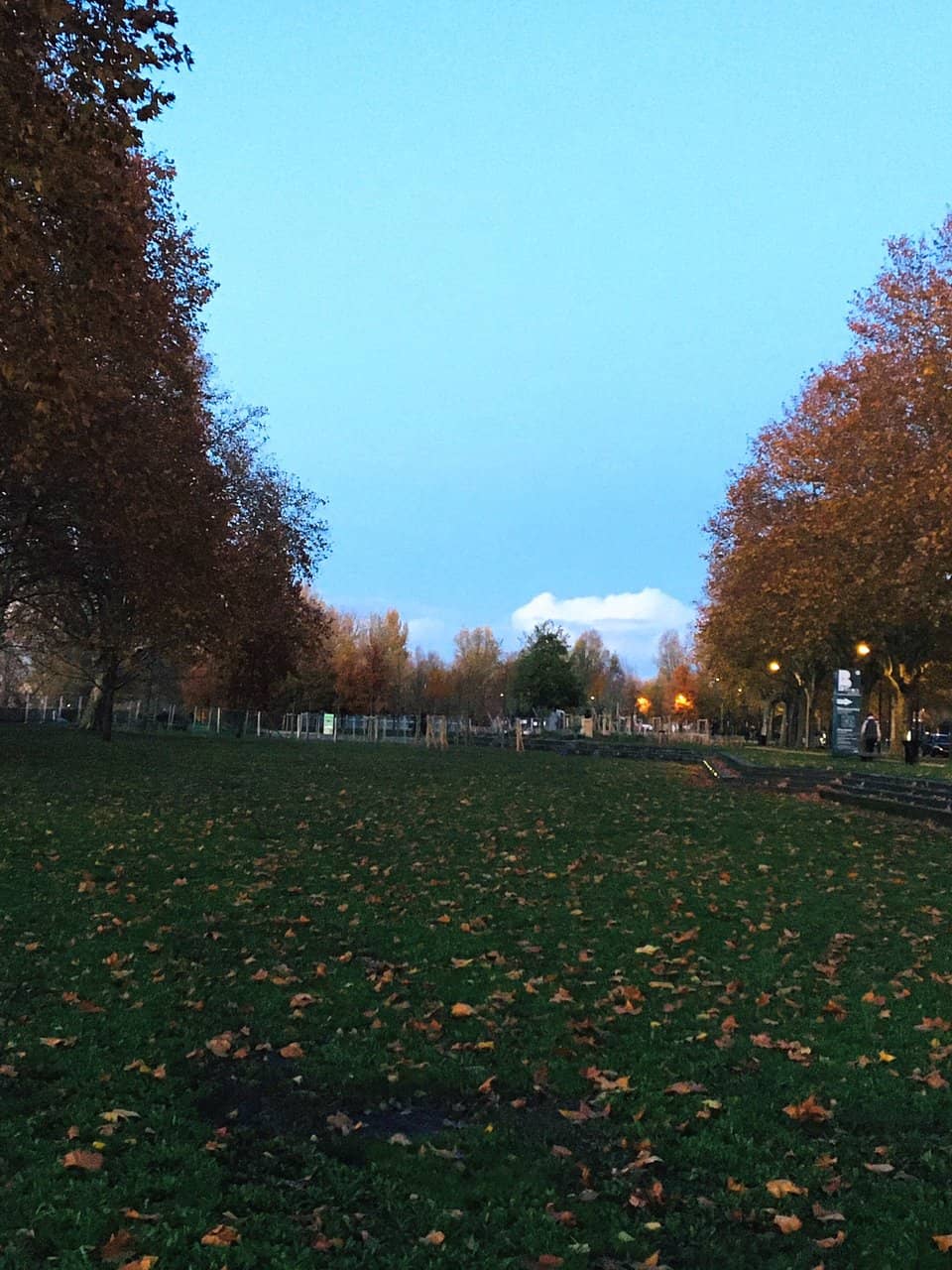 City Views from the Quayside