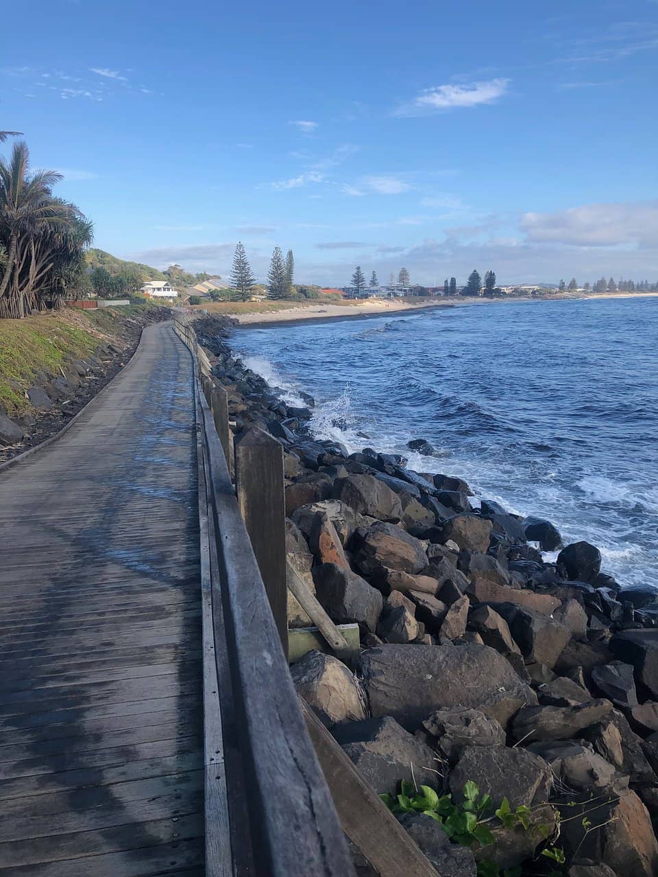 Alexandra Headland Views