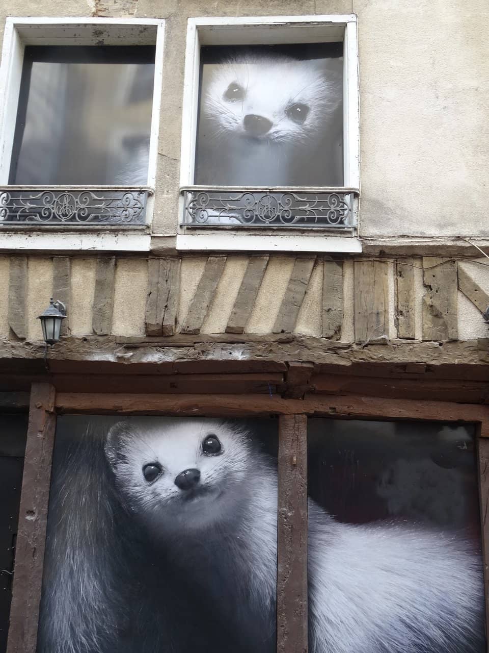Vertical photo