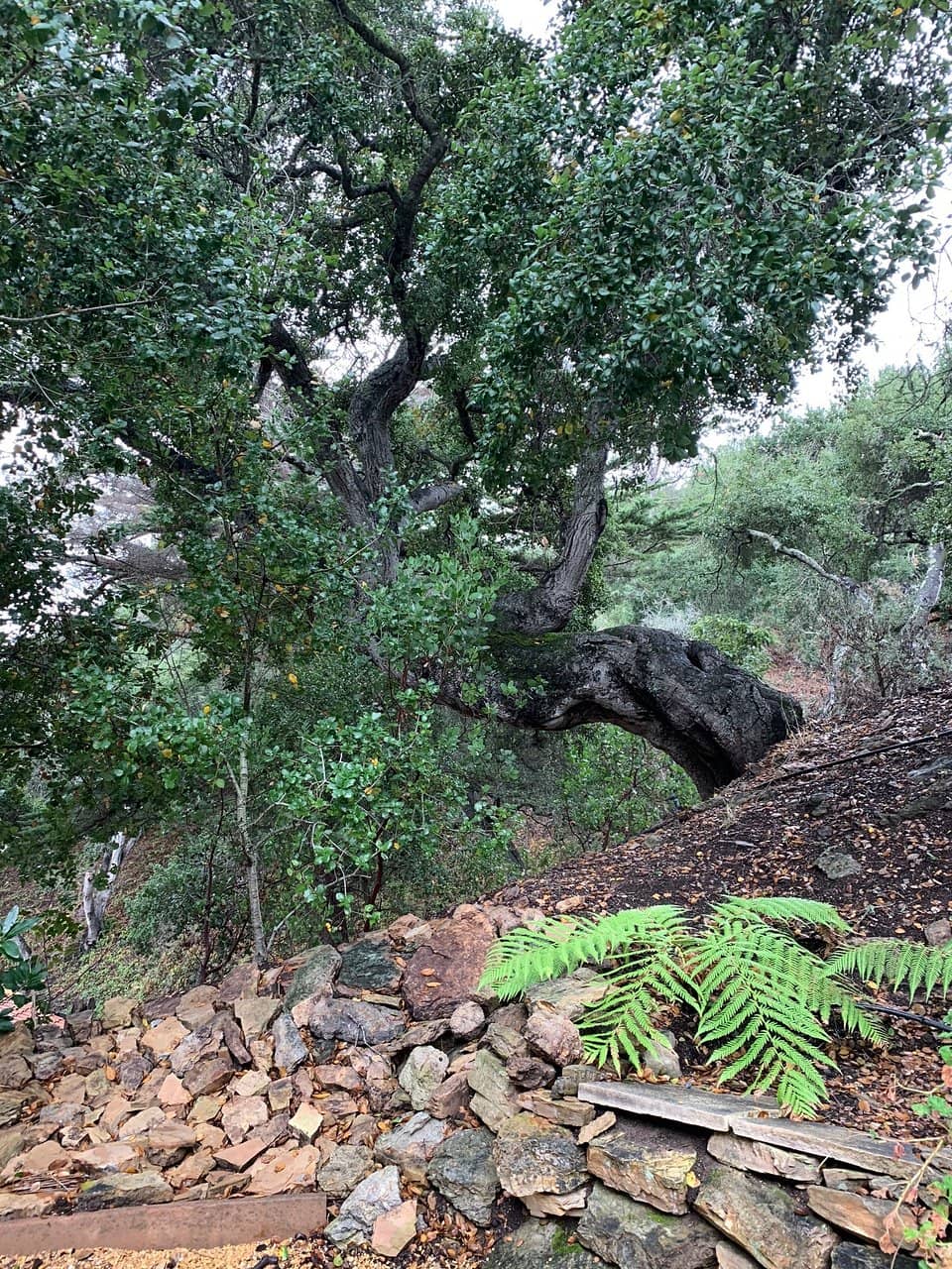 Avila's Secret Garden