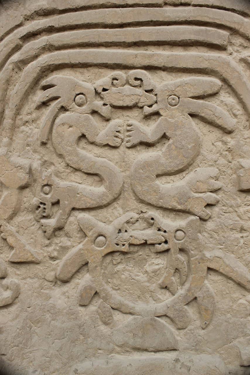 Museum Exhibits