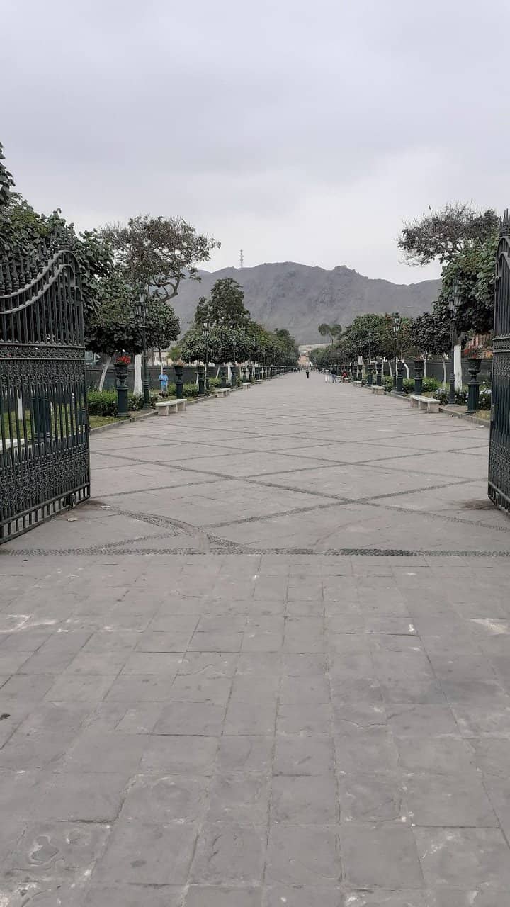 Restored Sculptures and Vases