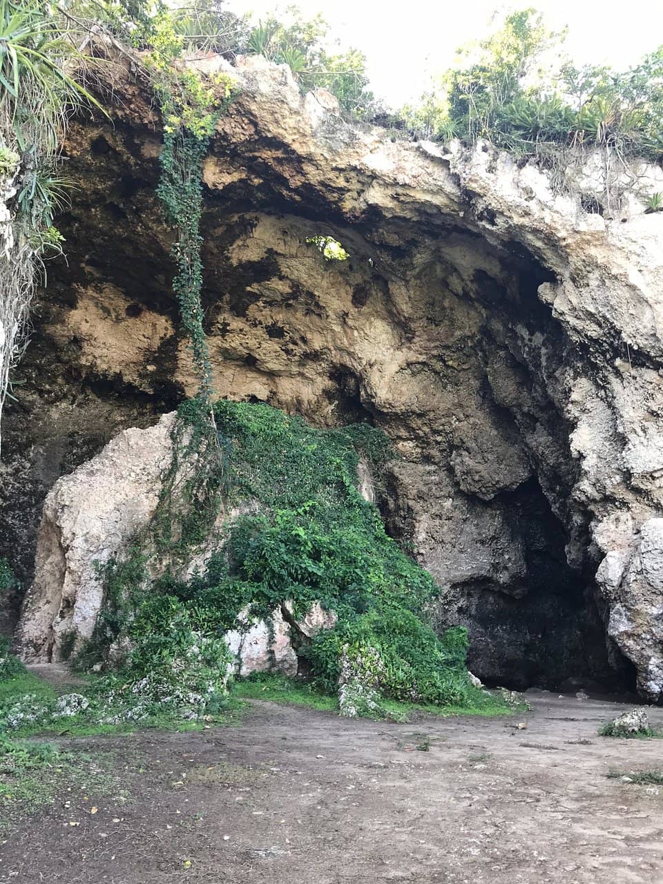 Natural Ecosystem