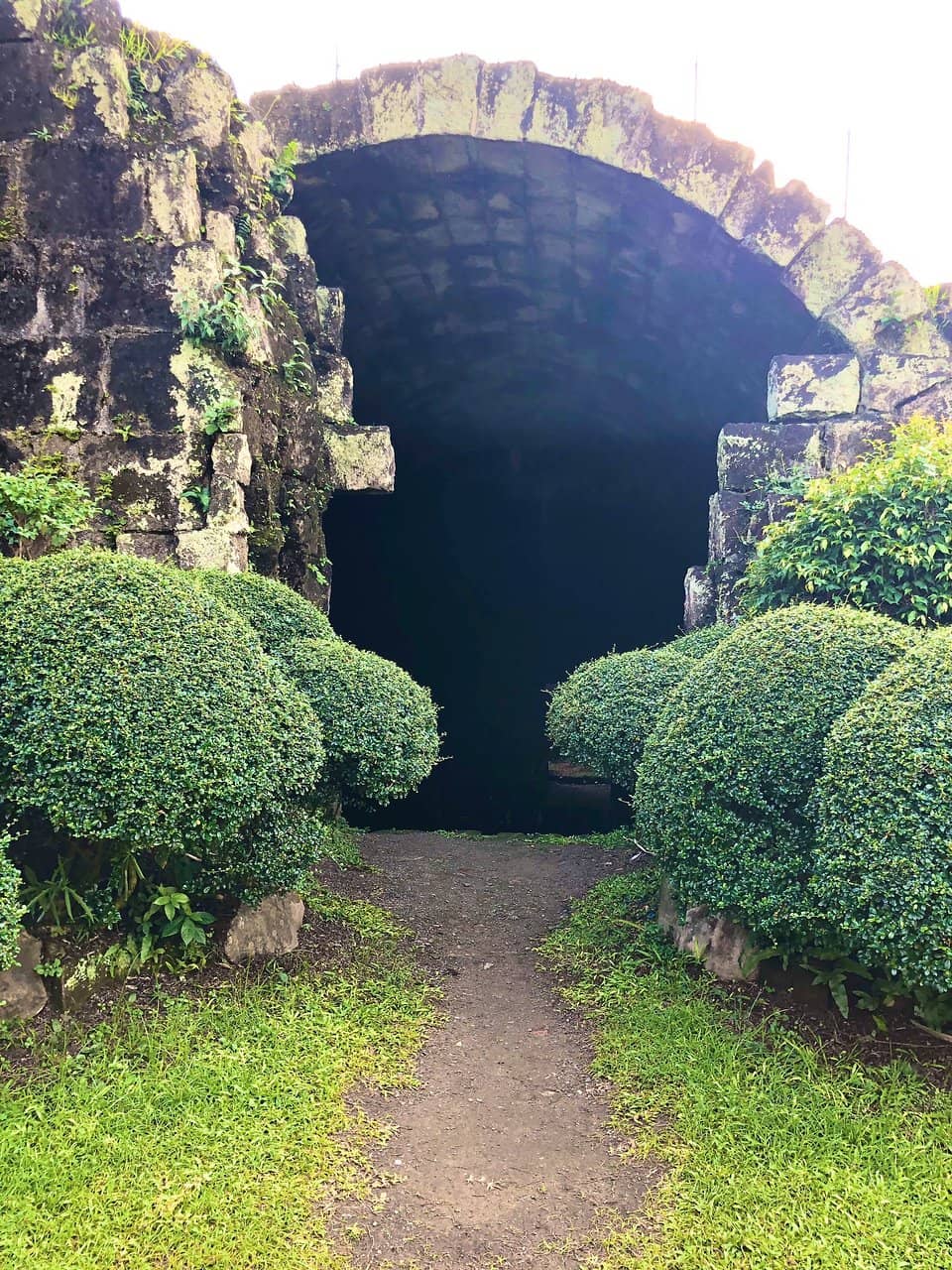 Vertical photo