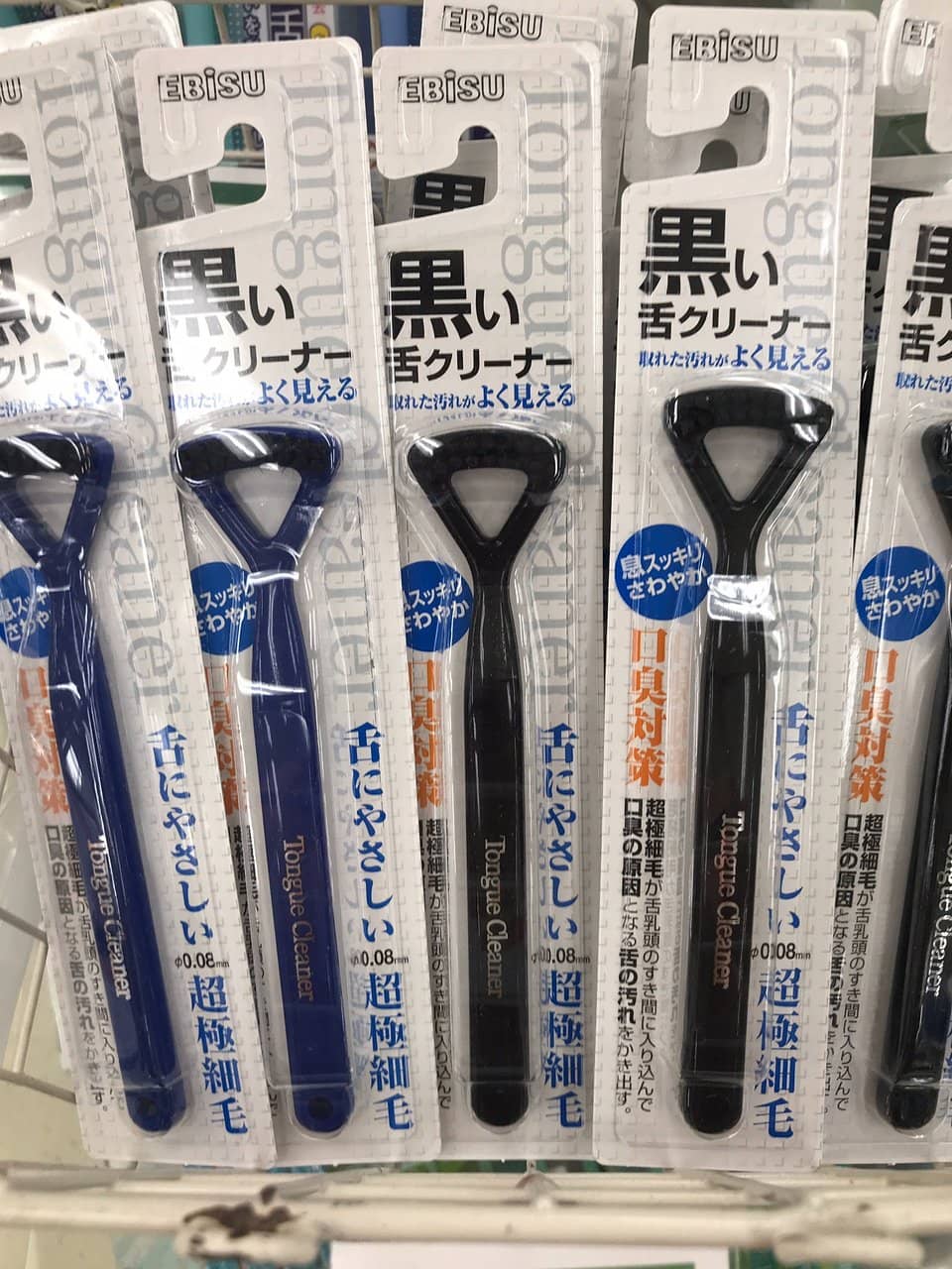 Food Samples (Shokuhin Sample)