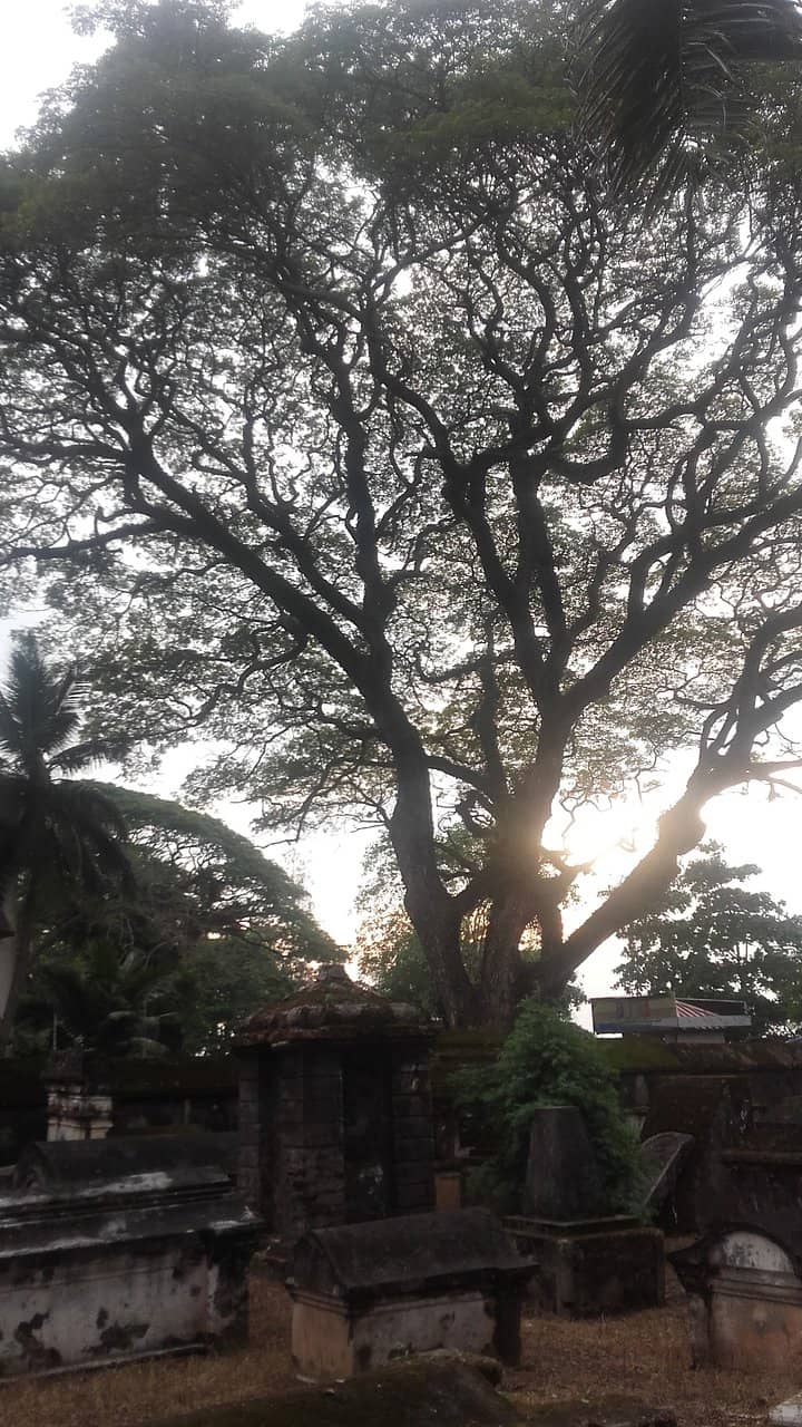 Serene Ambiance