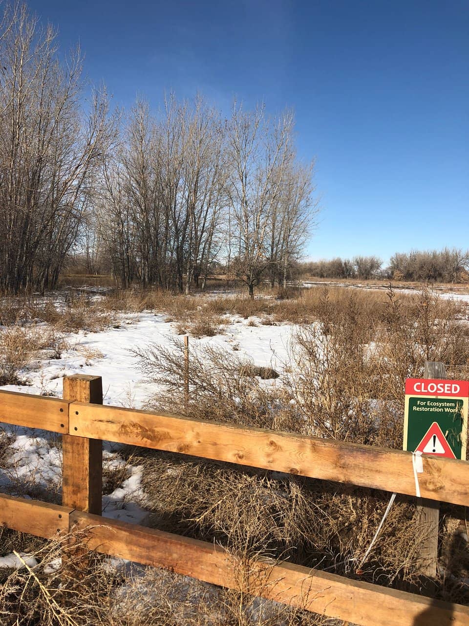 Swetsville Zoo Detour