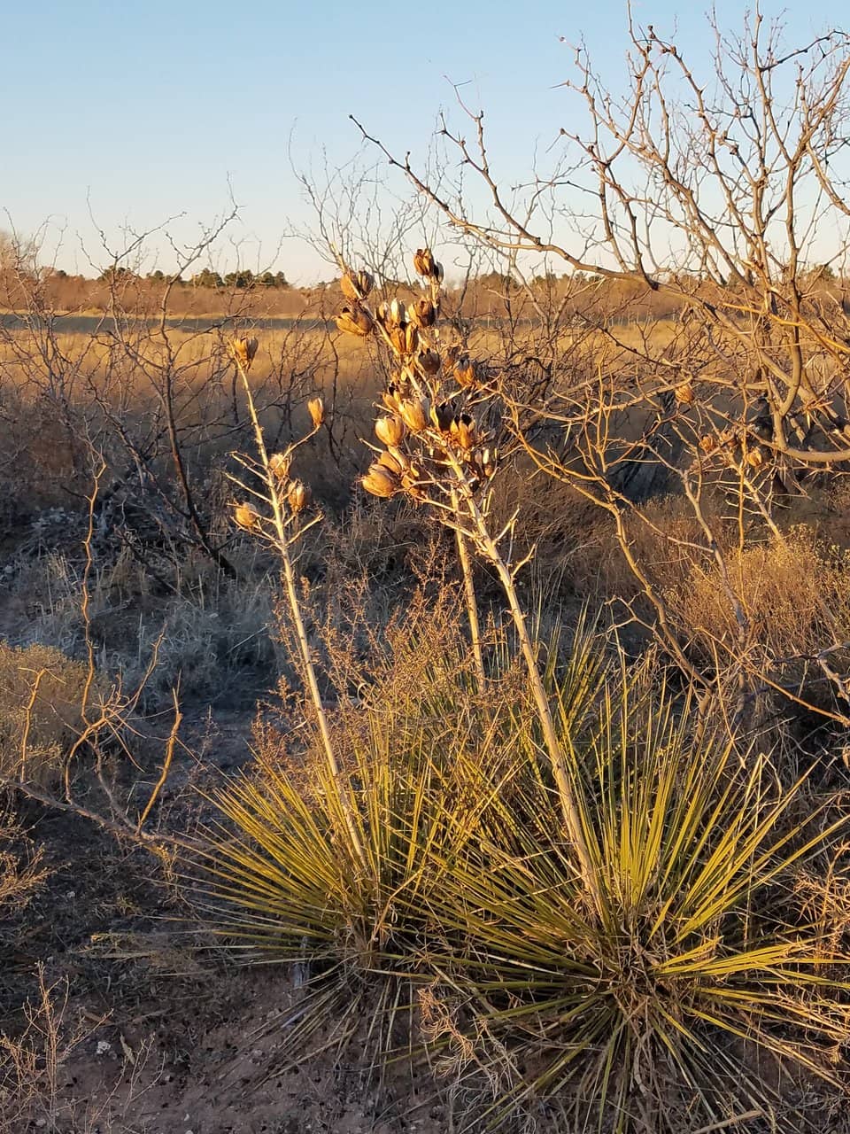 Peaceful Walking Trails