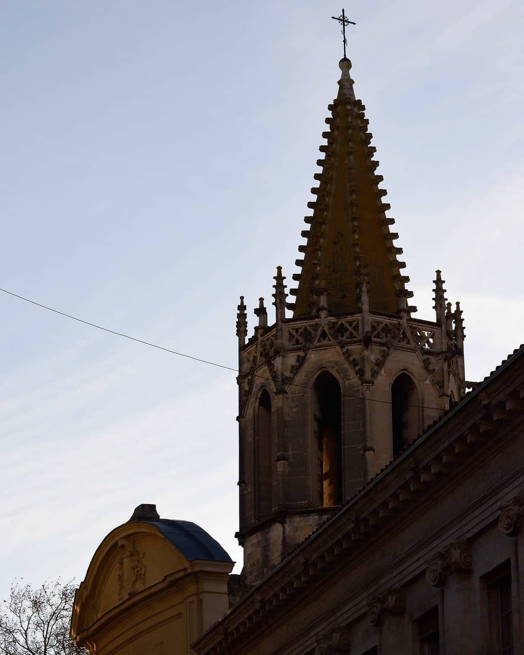 Vertical photo