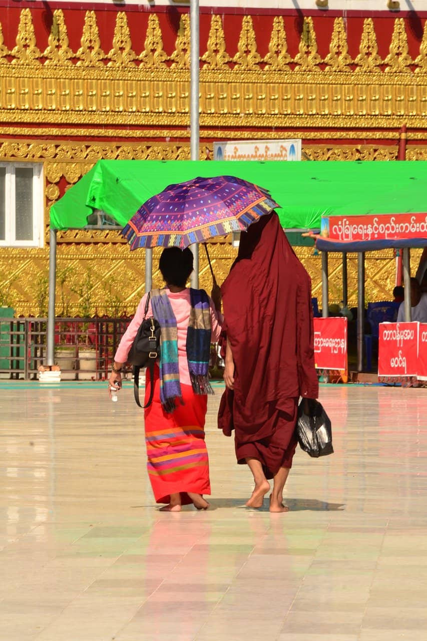 The Thrilling Truck Ride