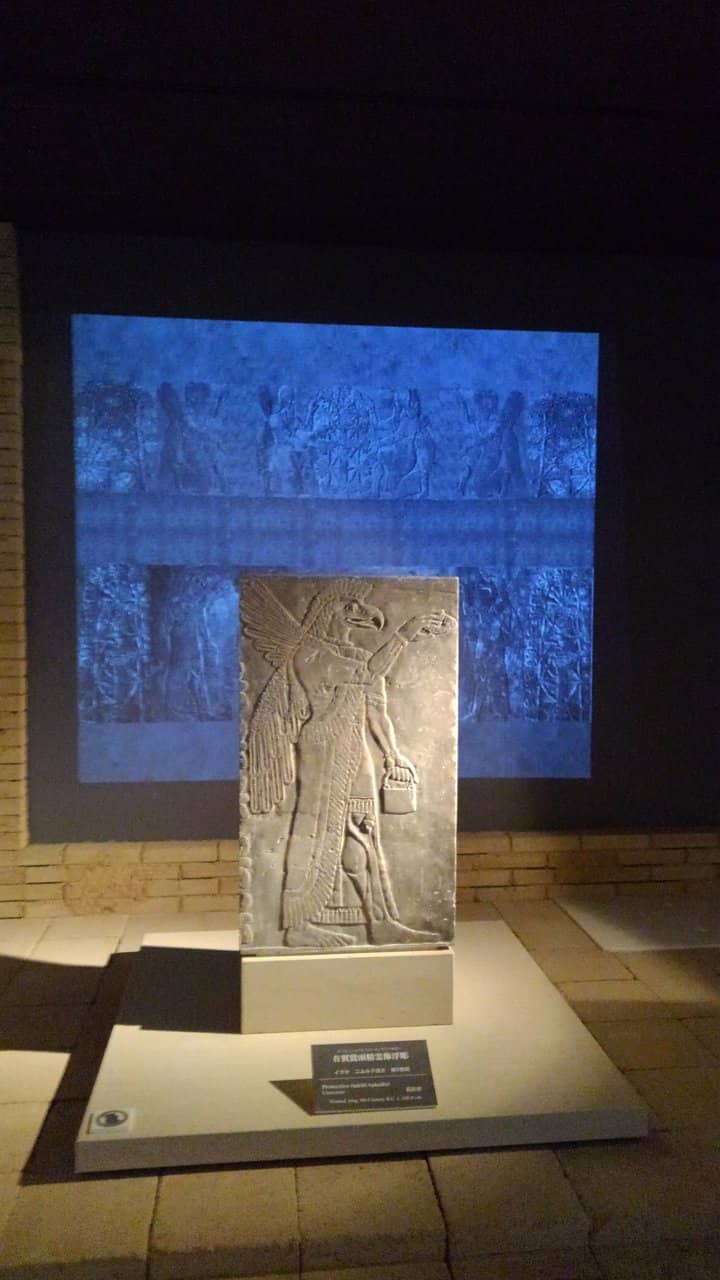 Ancient Glass Collection