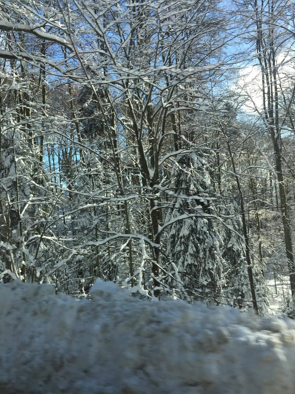Sljeme Peak