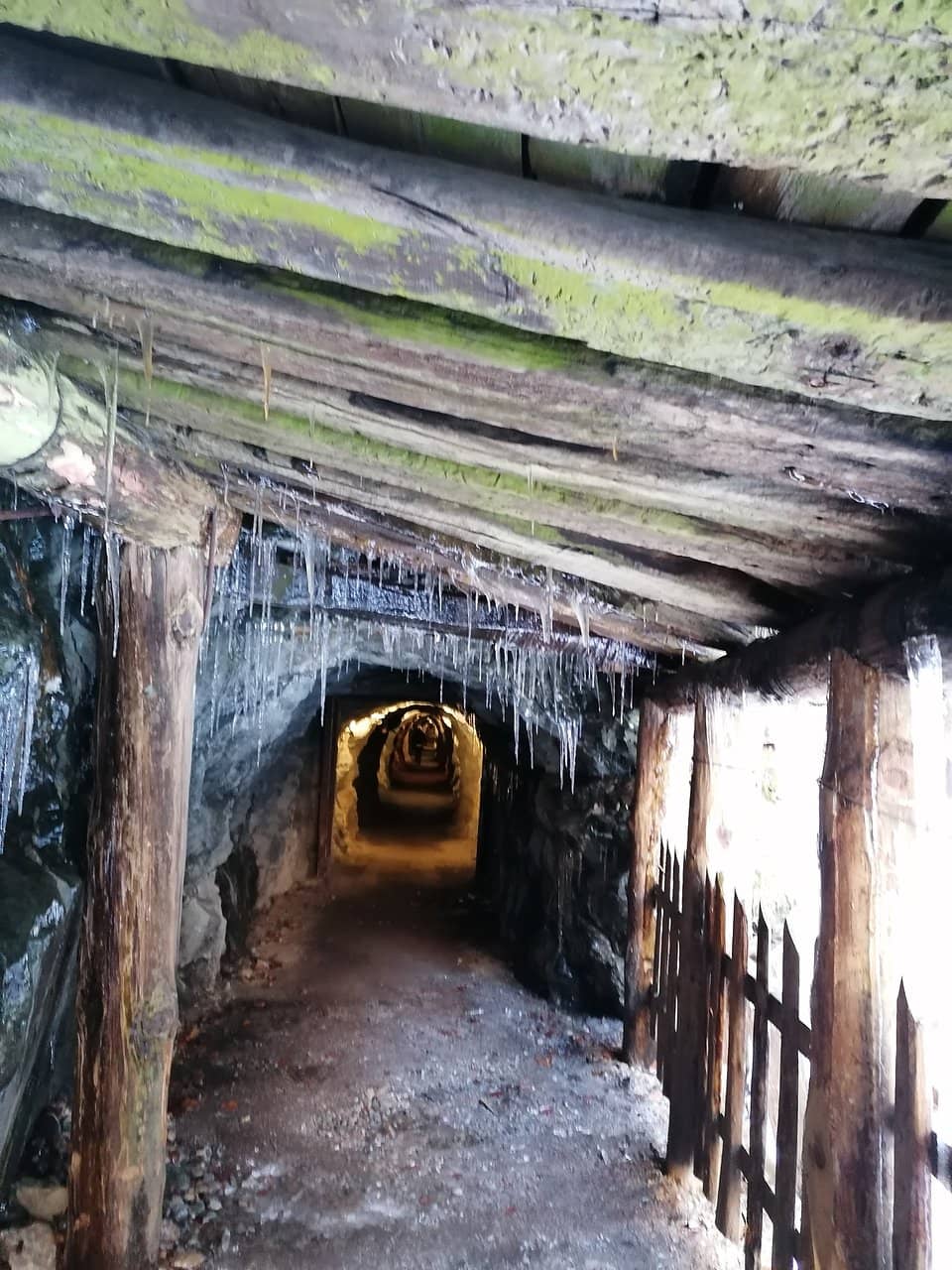Unique Mine Vegetation