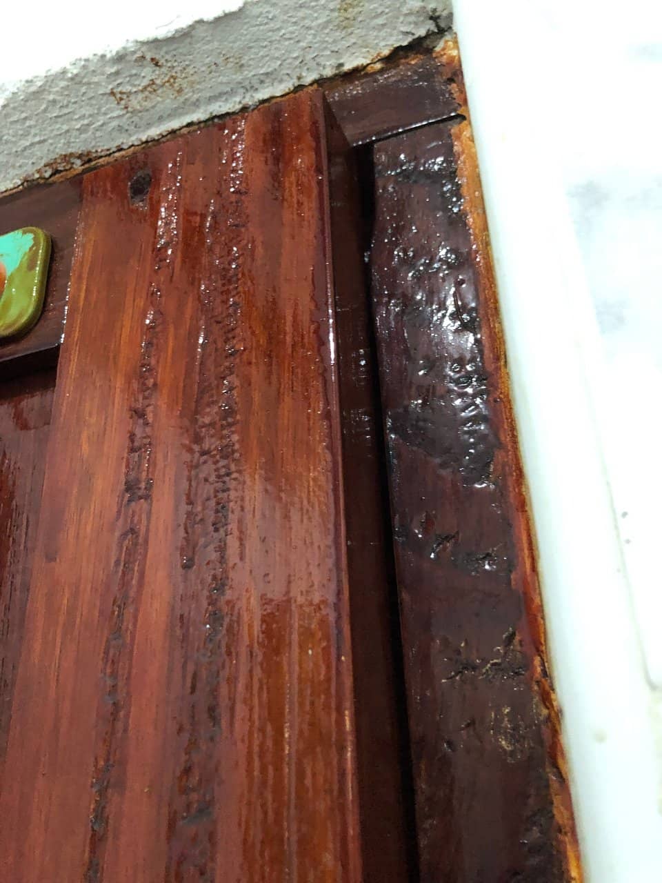 Snorkeling Adventures