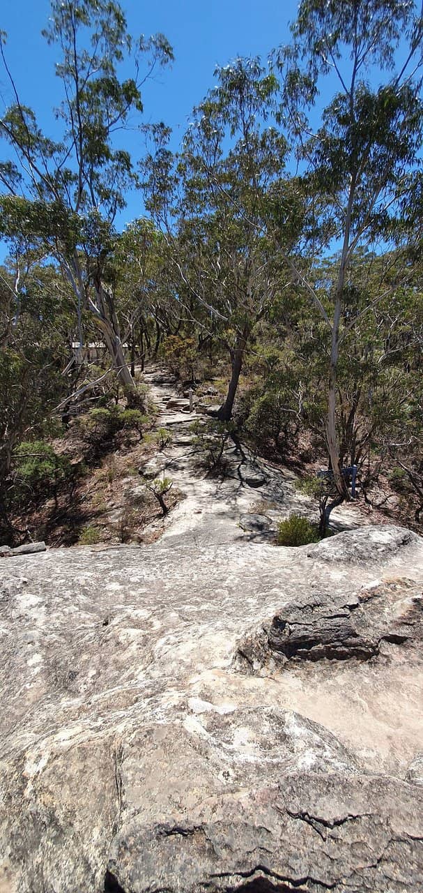 Secluded Rocky Perch