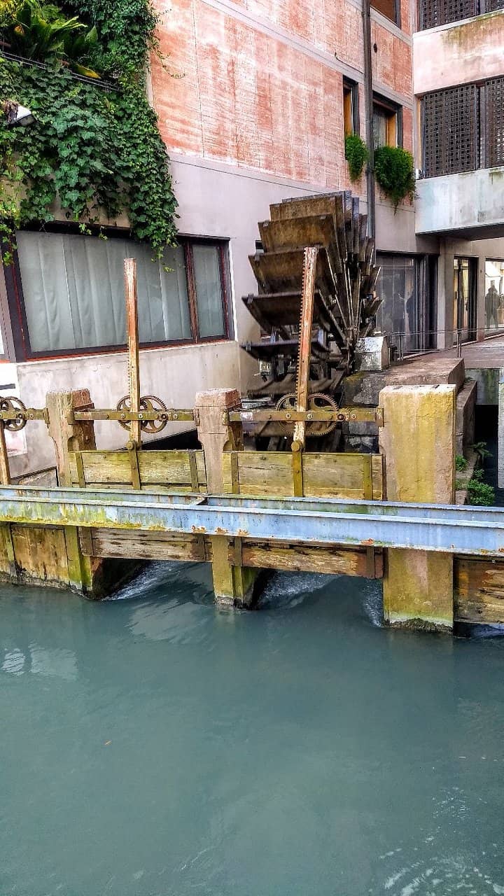 Vertical photo