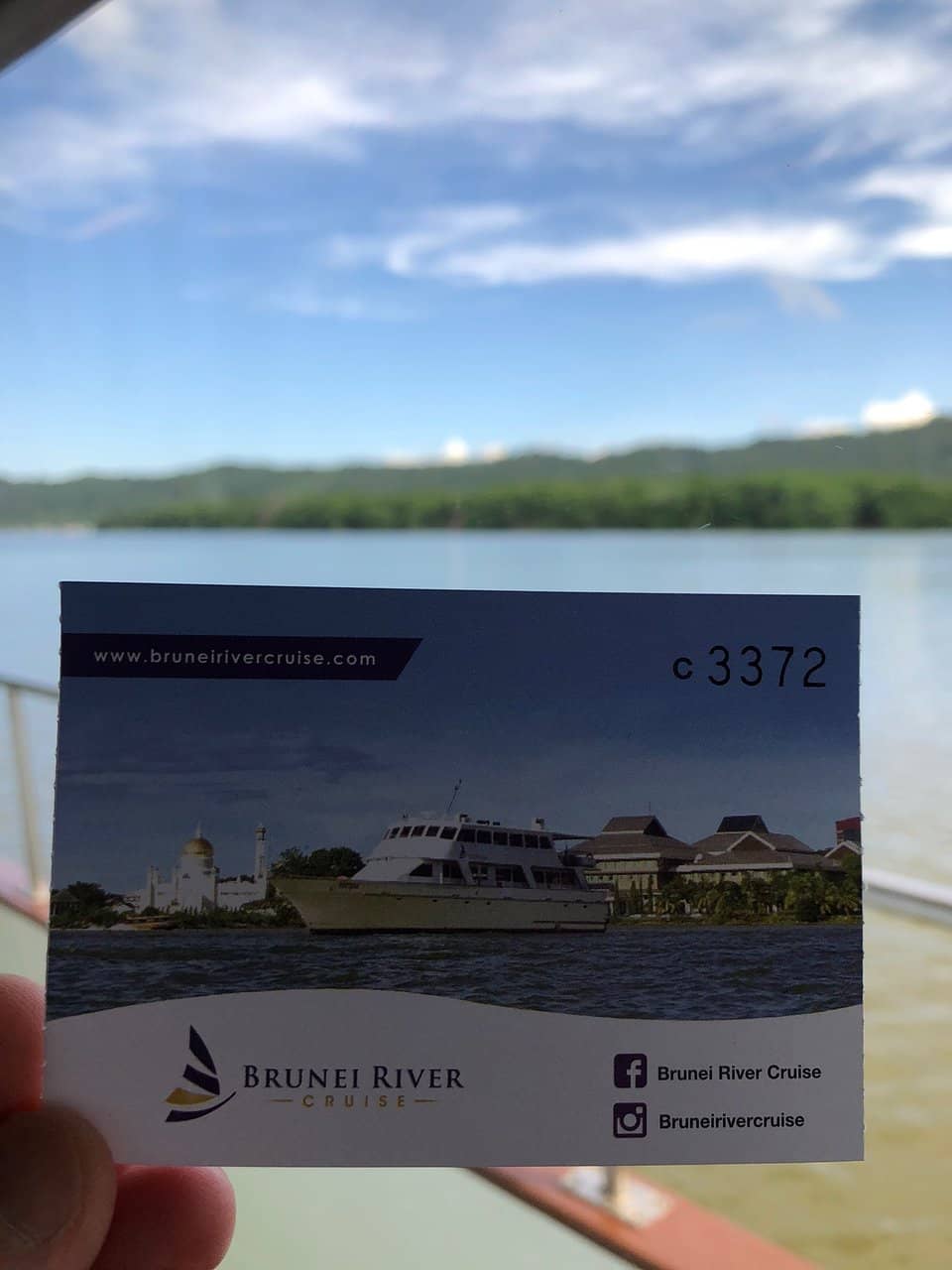 Mangrove Wildlife Spotting