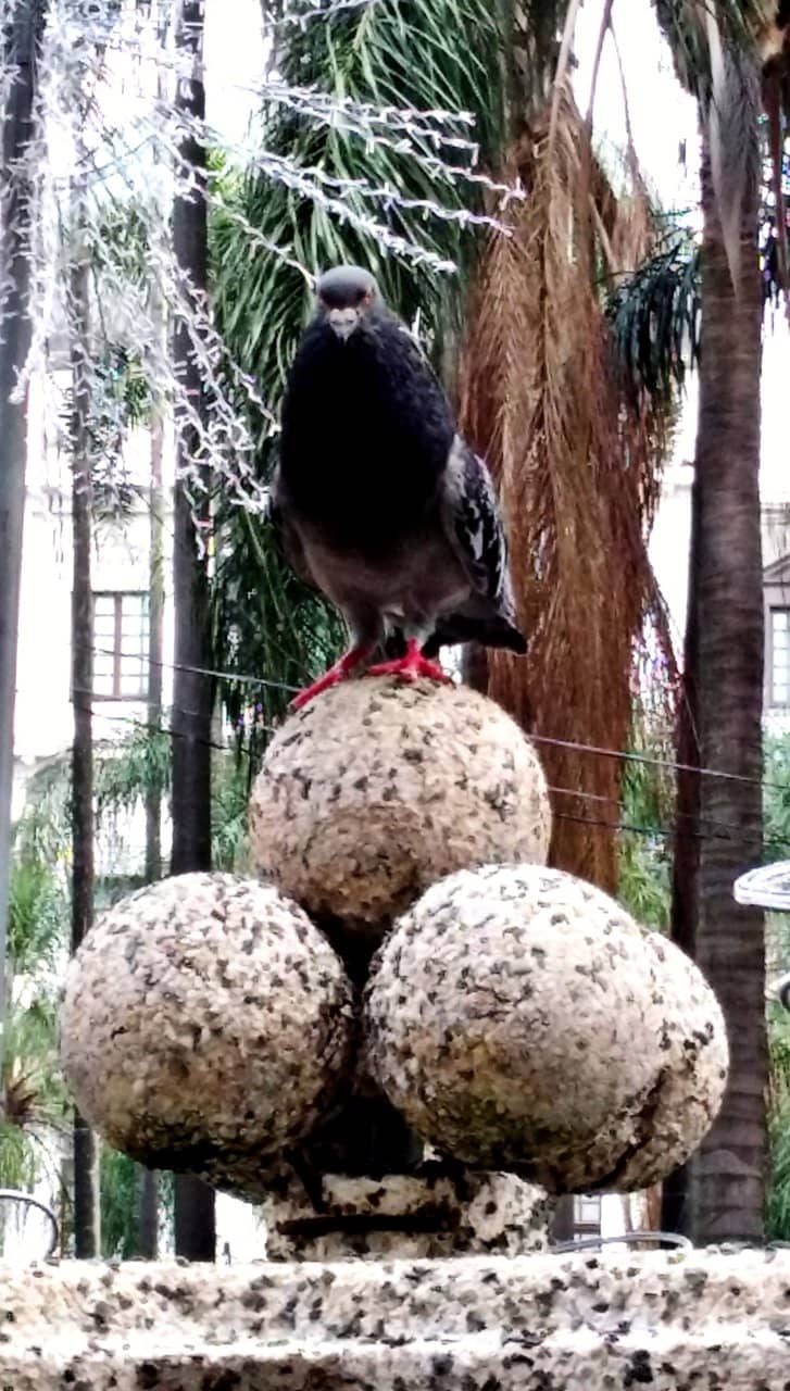 Secondhand Treasures