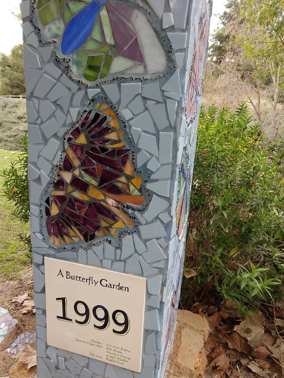 Temporary Pump Track