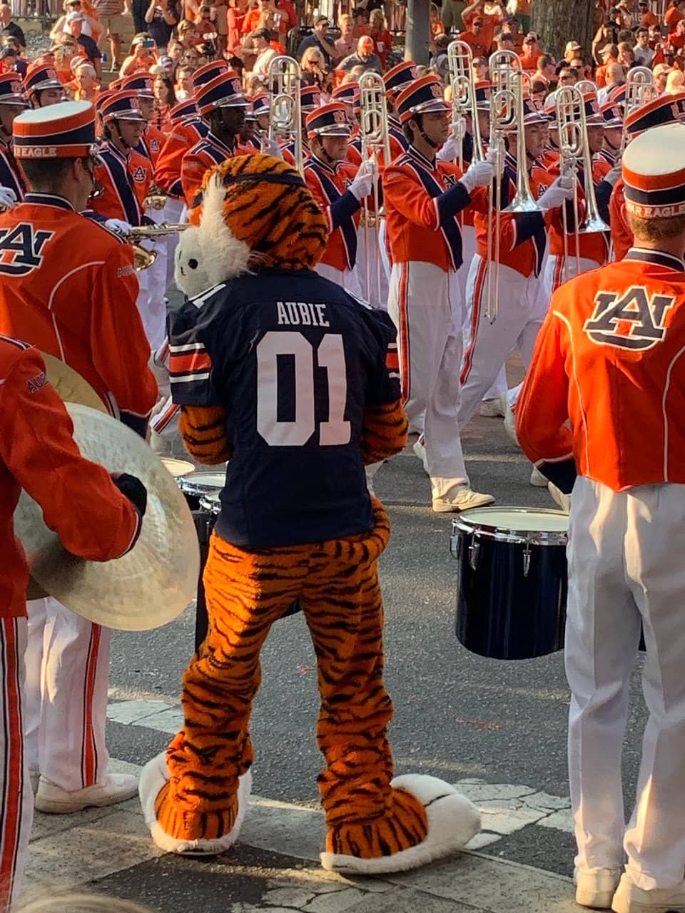 Tiger Walk