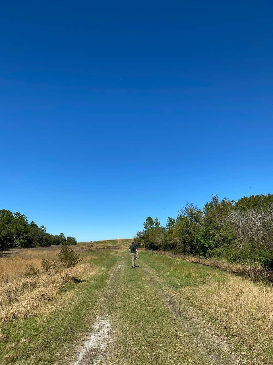 Gopher Tortoise Trail
