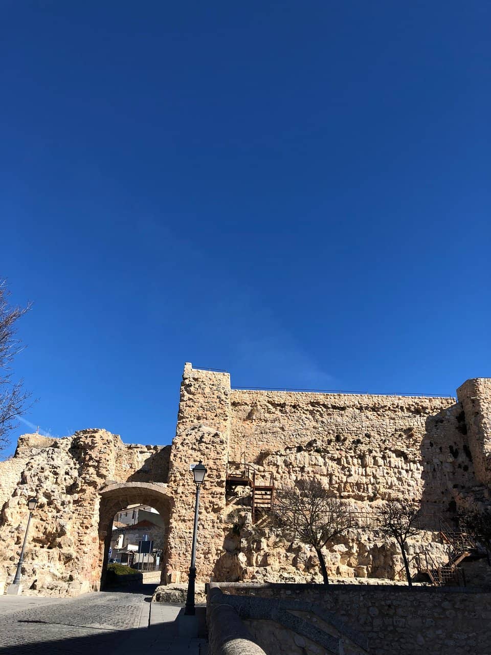 Vertical photo