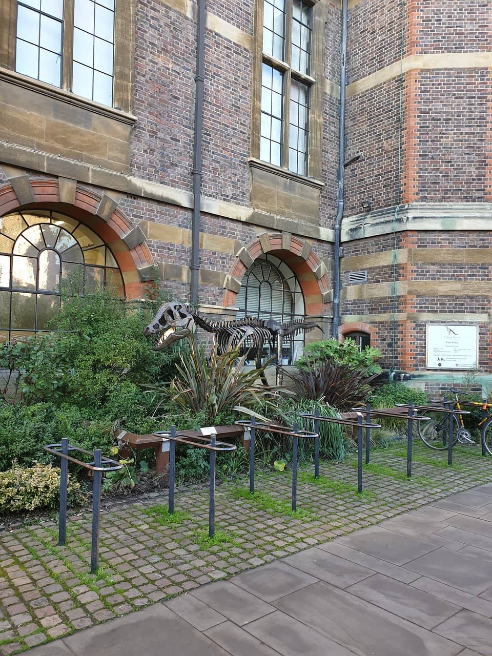 Dinosaur Skeletons