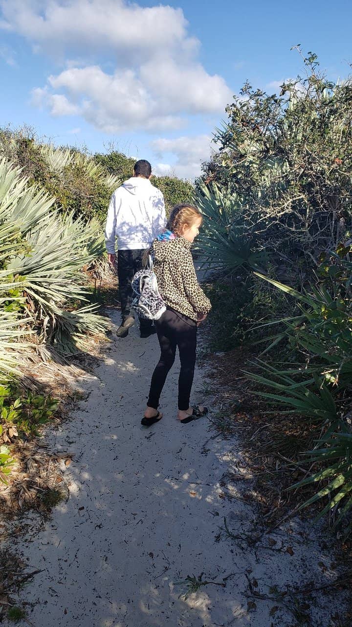 Observation Tower Views