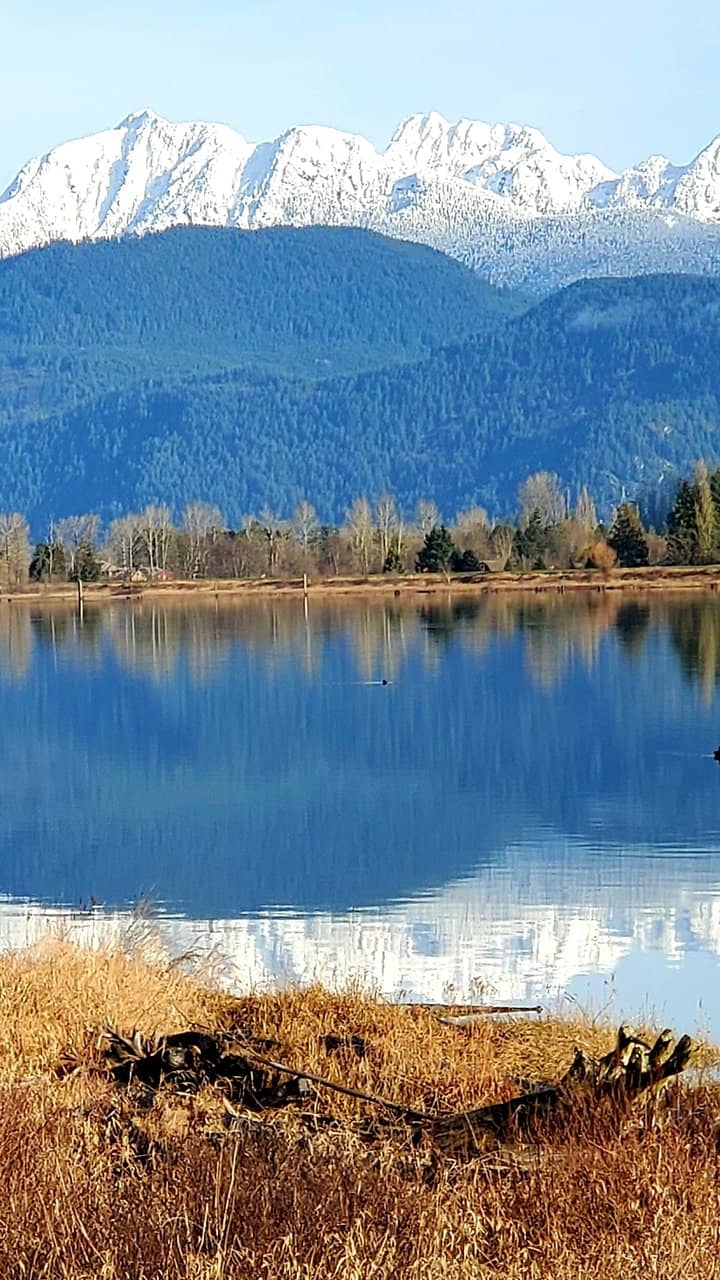 Deboville Slough Views