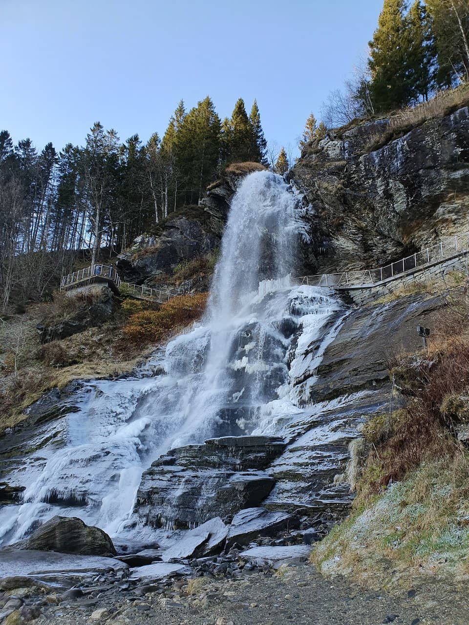 Vertical photo